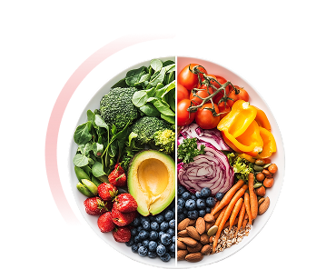 Digital Publications